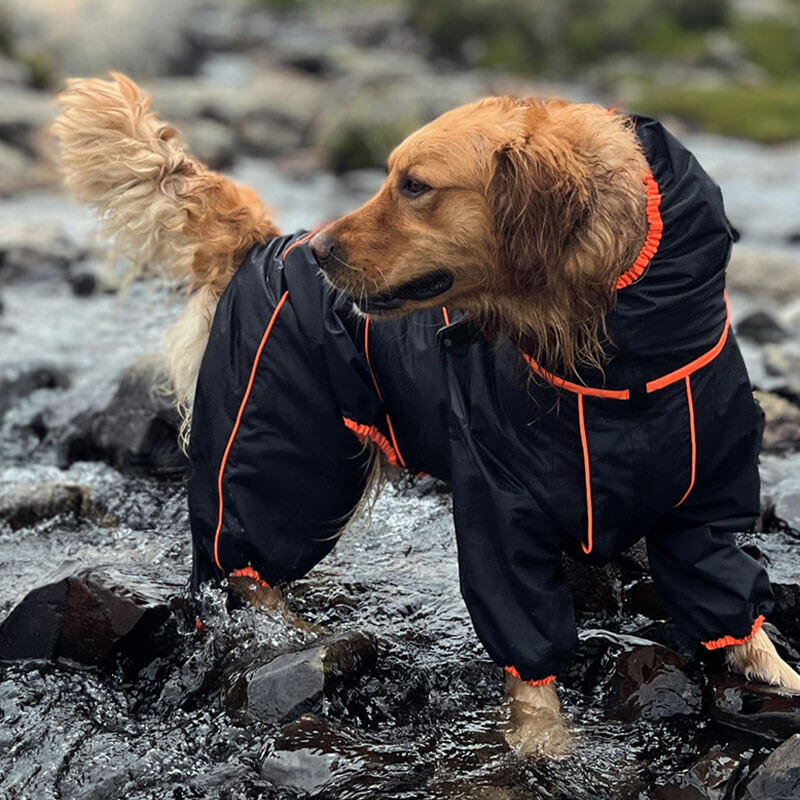 Norvo | Hund Utendørs Jakke Vanntett Justerbar Hund Regnfrakk