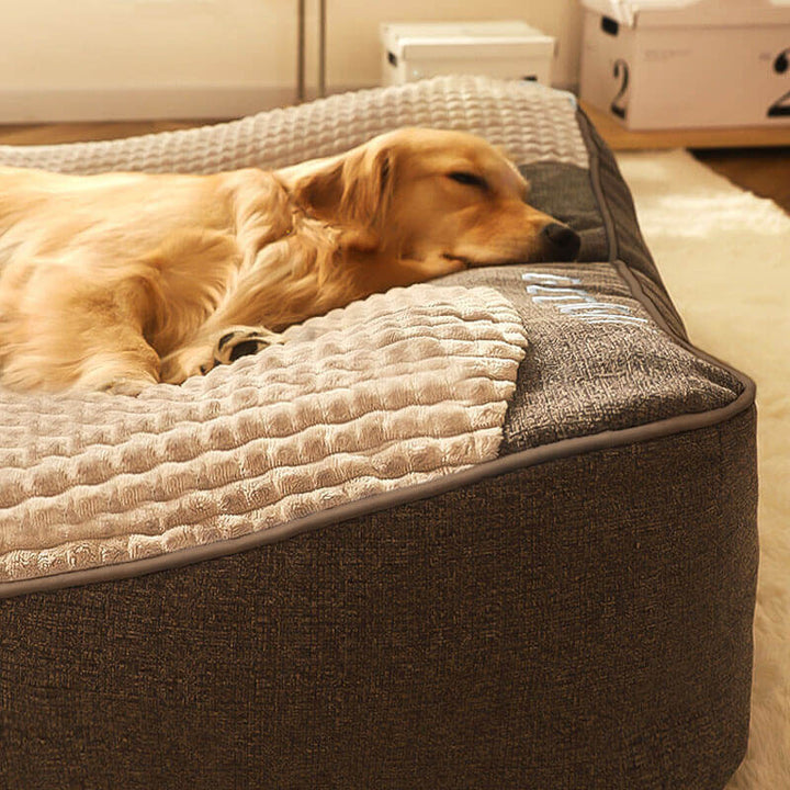 Skanto | CocoonChien | Optimal komfort for din følgesvenn