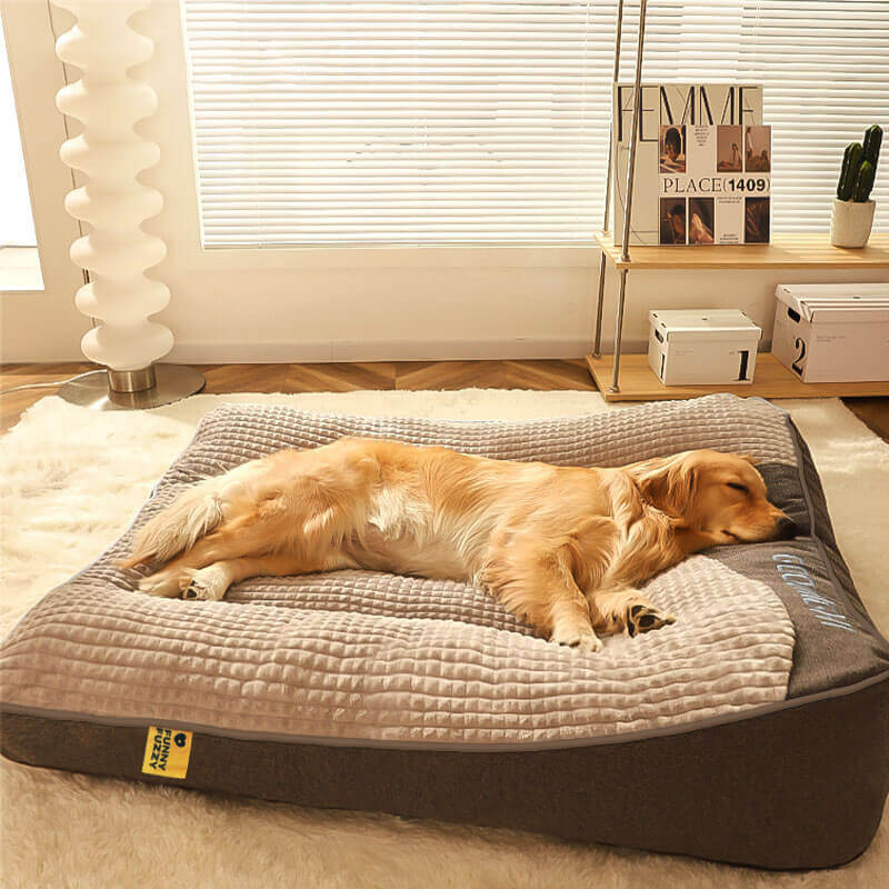 Skanto | CocoonChien | Optimal komfort for din følgesvenn