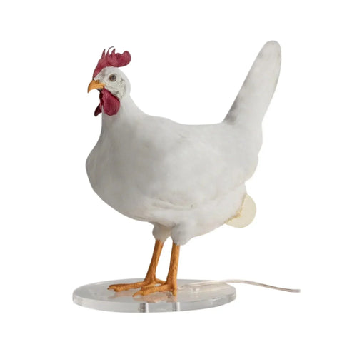 Skanto | ChickLume - Innovativ lampe for høner - Oppmuntrer til egglegging - Lyser opp og varmer opp