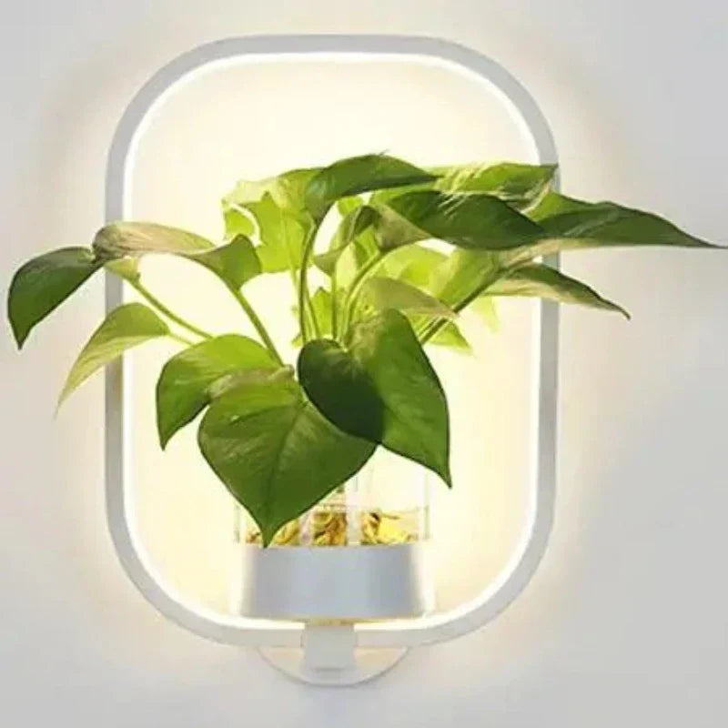Skanto | Luminaire Vegglampe - Plantevegglys