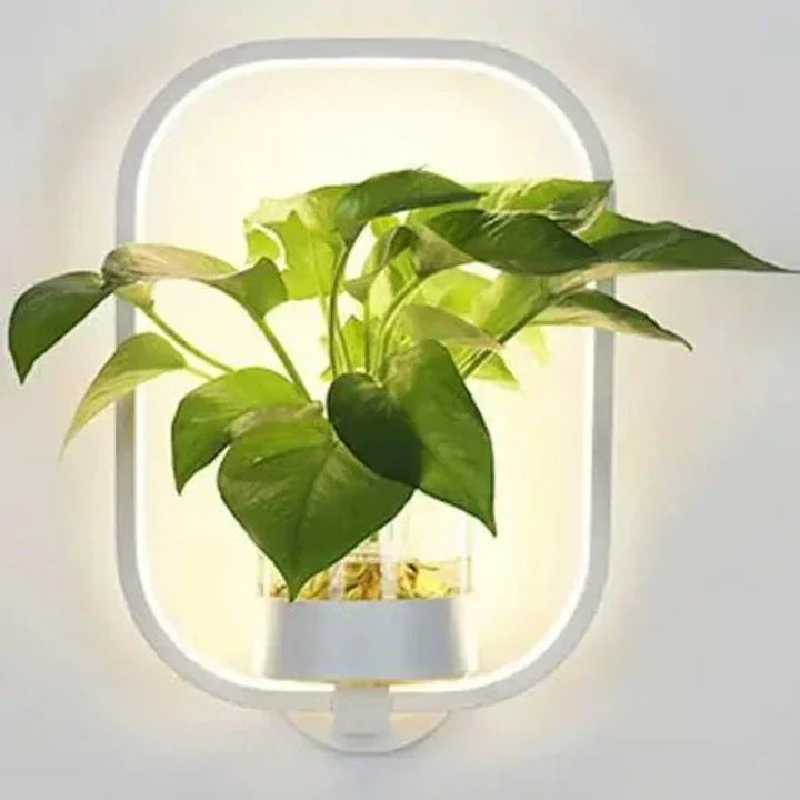 Skanto | Luminaire Vegglampe - Plantevegglys