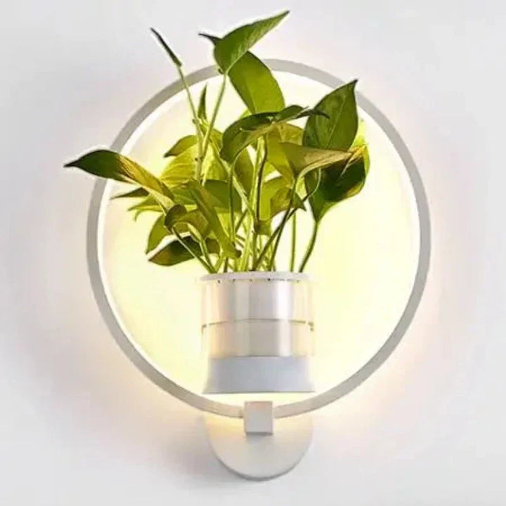 Skanto | Luminaire Vegglampe - Plantevegglys