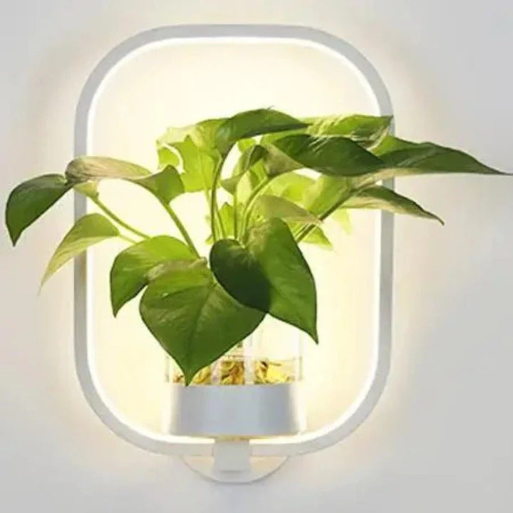 Skanto | Vegglampe med glassplanteholder