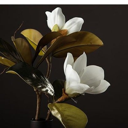 Magnolia Silk Blomst | Skanto