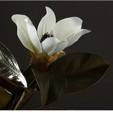 Magnolia Silk Blomst | Skanto