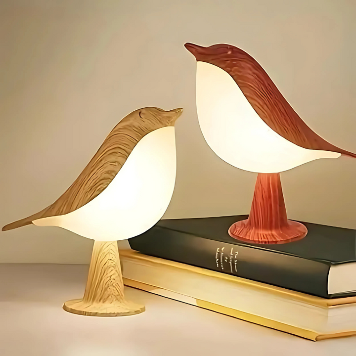 Skanto | BirdGlow