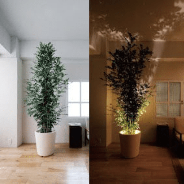 Skanto | Viva-projektor lampe LED lys kilde Kompakt Design