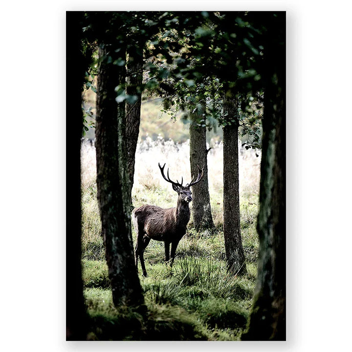 Nordic Winter Forest Deer Landscape Wall Art Fine Art Canvas Prints Gallery Wall Pictures for Living Room Dining Room Art for Scandinavian Home Decor | Skanto