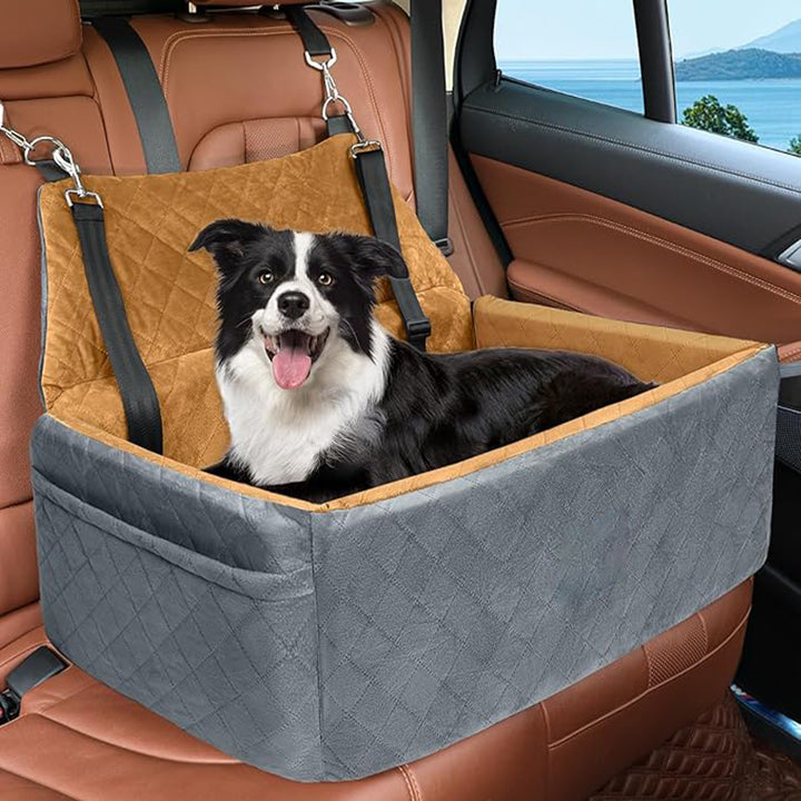 Hunde-beskyttelsesbilsete Skanto