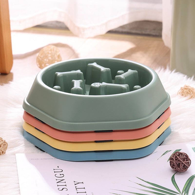 Slow Eating Feeding Station for Dogs Skanto