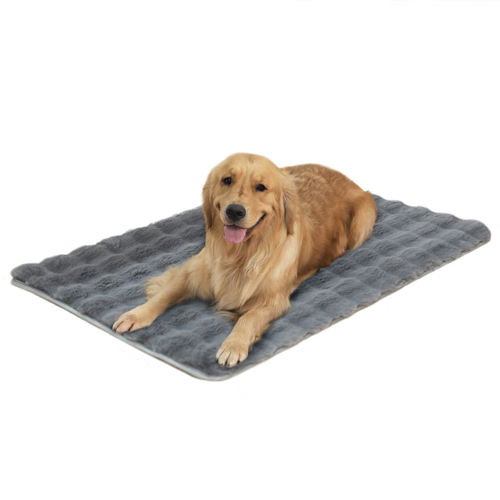 Plush Hundeseng