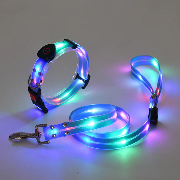 LED Hundehalsbånd med Bånd – NightBright Skanto