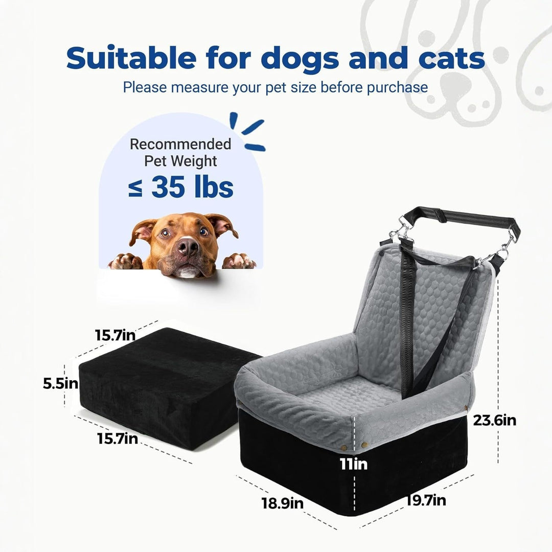 Hunde bilsete Skanto