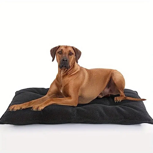 Støttende Sovematte Hundeseng