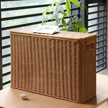 Unisex dekorativ Rattan oppbevaringsboks Skanto