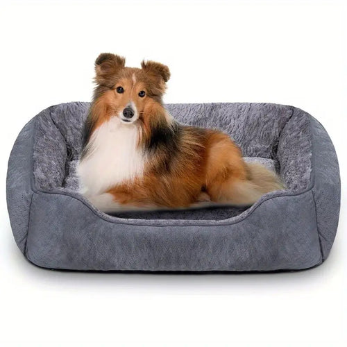 Ortopedisk komfort  Loungetil  Hundeseng