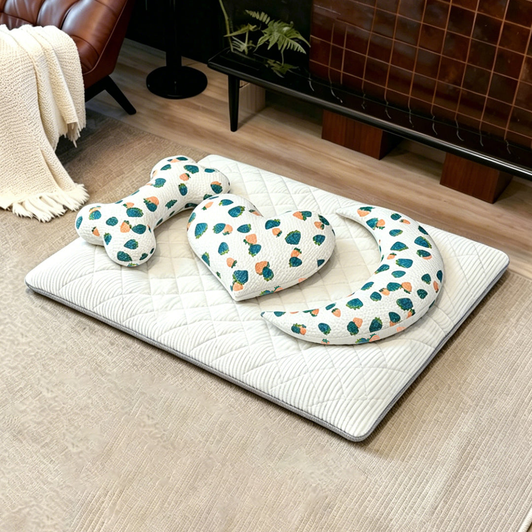 Katt bed Skanto