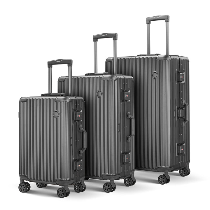 Unisex Moderne Hard Shell Reis Trolley Skanto