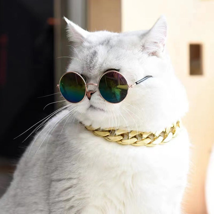 Dame moterunde briller Skanto