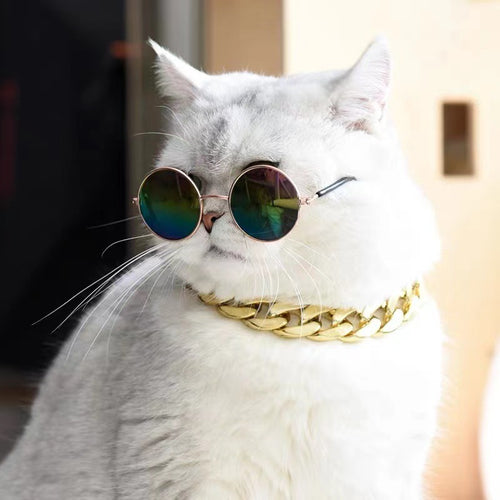 Dame moterunde briller Skanto