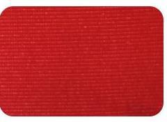 Women Yoga Mat Skanto