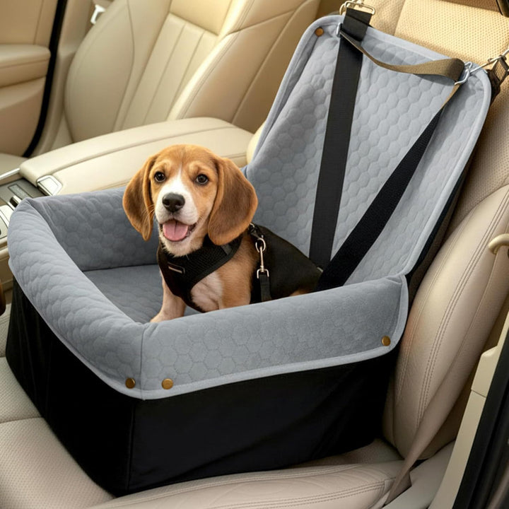 Hunde bilsete Skanto