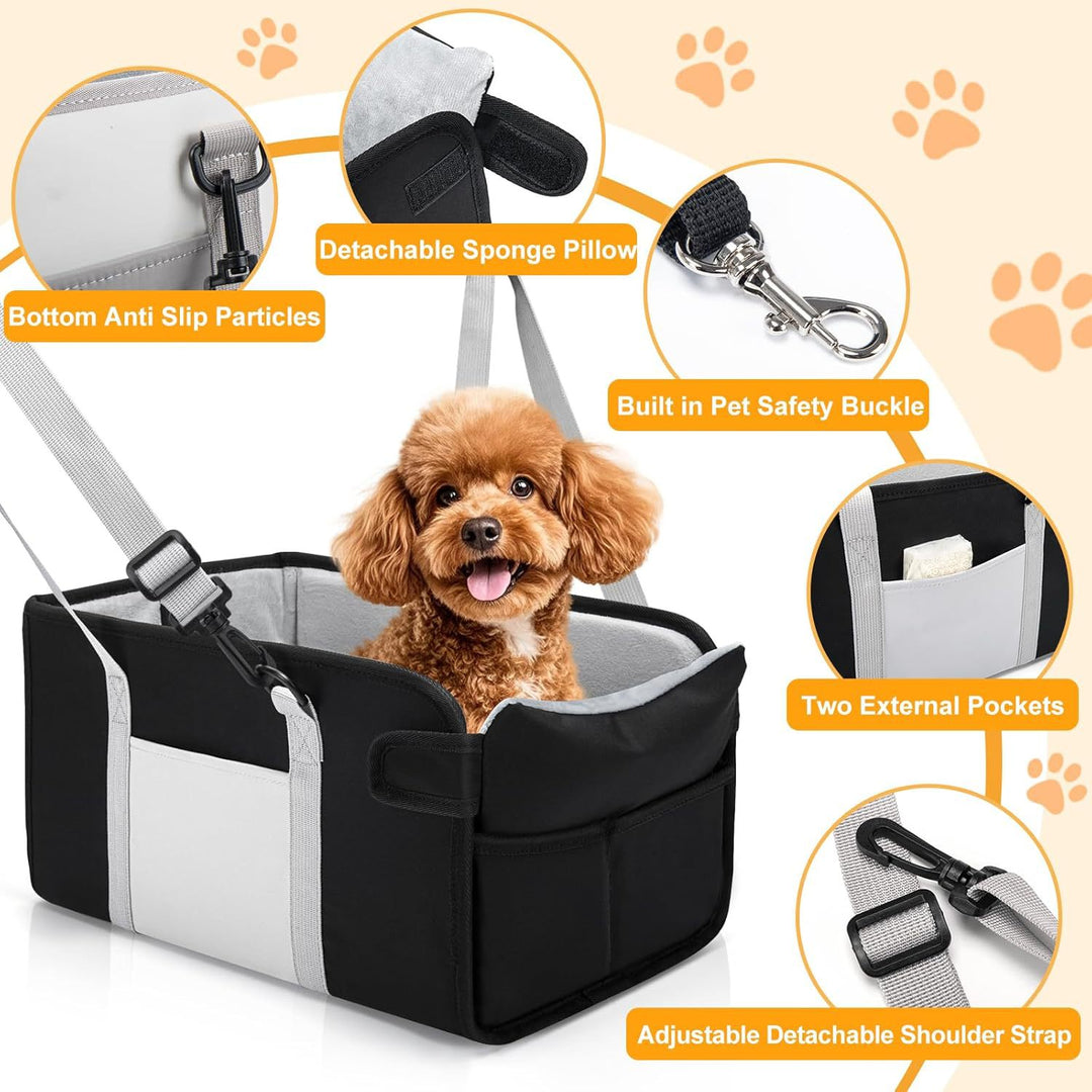 Hunde bilsete Skanto
