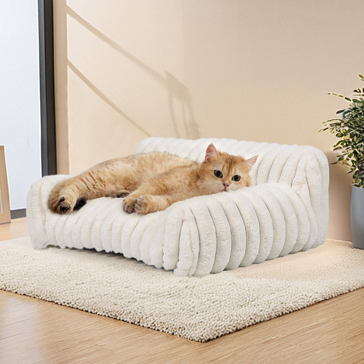 Katt bed Skanto