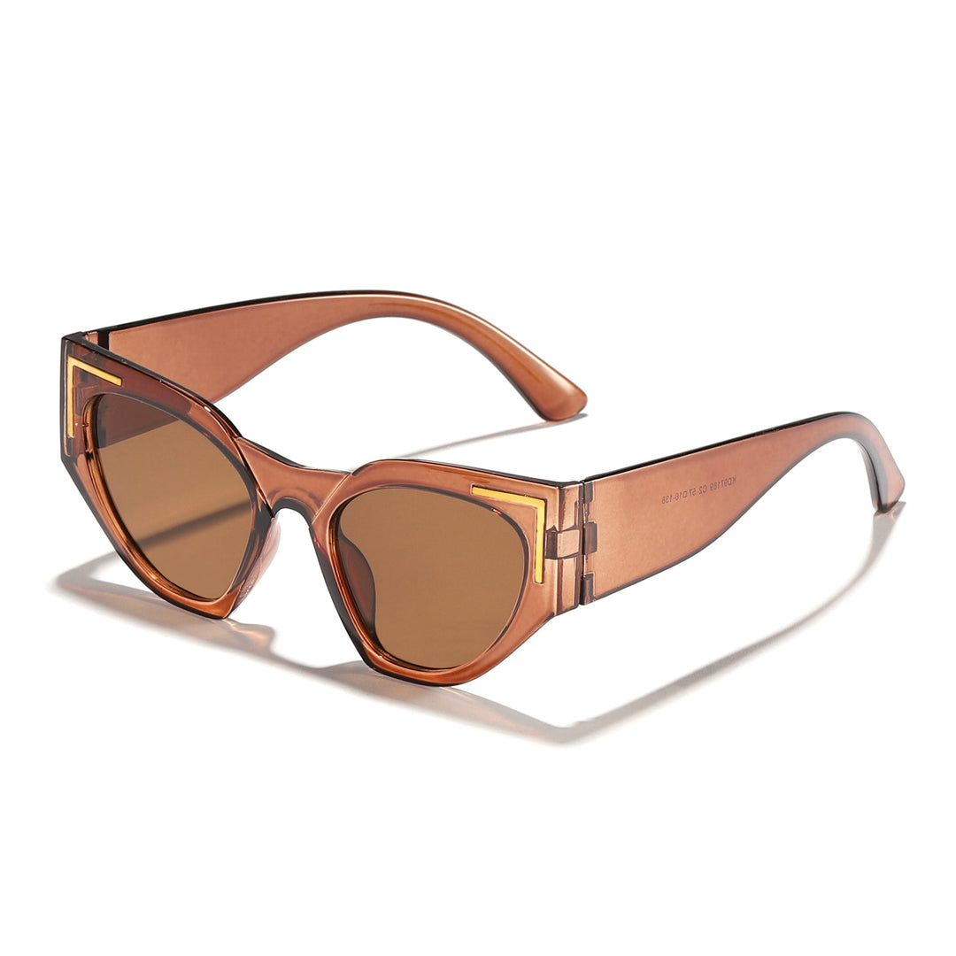 Dame kreativ Cat-Eye solbriller med transparent ramme og brune glass Skanto