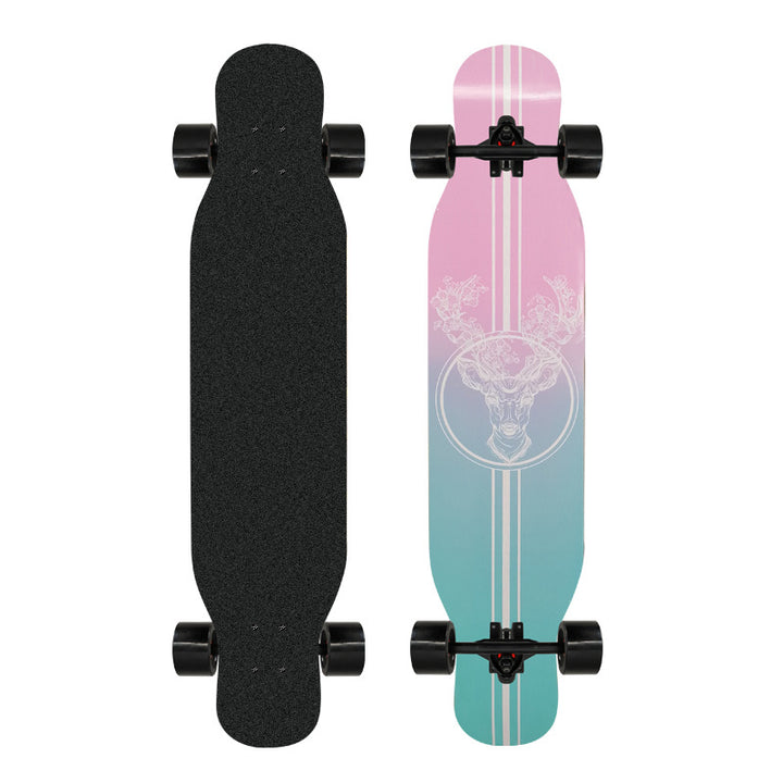 Kunstnerisk løveprydet longboard Skanto