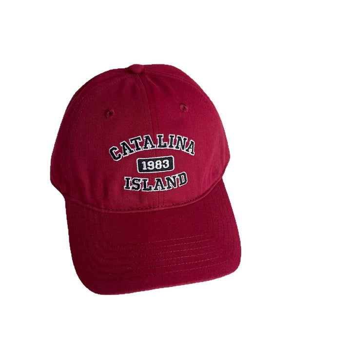 Herre Casual Brodert Pappa Hatt Skanto