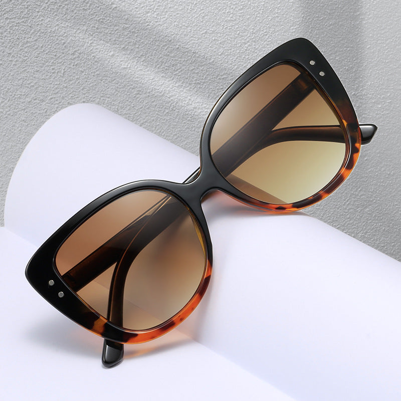Damer glamorøs oversized solbrille med elegant gjennomsiktig ramme Skanto