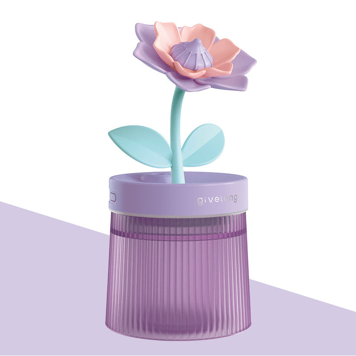 Dekorativ skrivebordsblomst Skanto