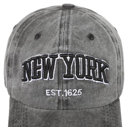 Men's Distressed Embroidered Dad Hat Skanto