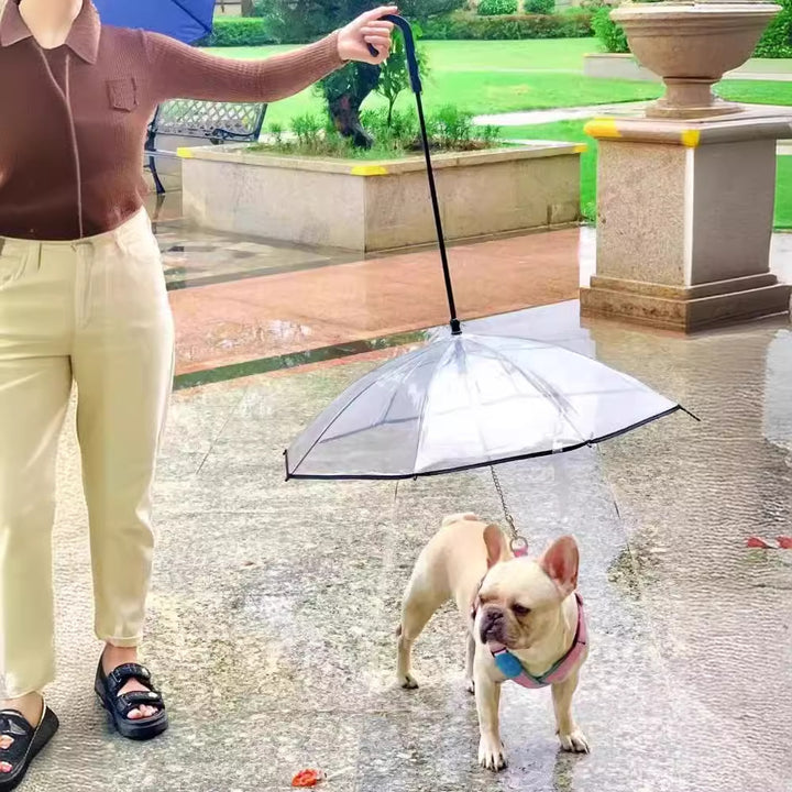 Kvinner Transparent Regn Cape Skanto