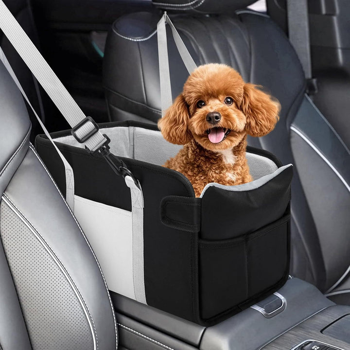 Hunde bilsete Skanto