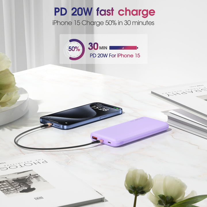 Bærbar Powerbank med hurtiglading og flere ladekontakter Skanto