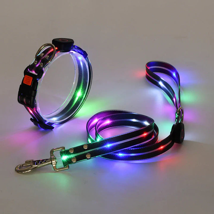 LED Hundehalsbånd med Bånd – NightBright Skanto