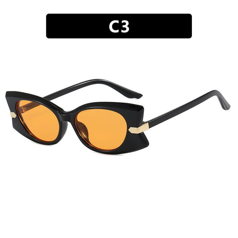 Women's Cat-Eye Sunglasses with Stylish Metal Detail and UV Protection Skanto