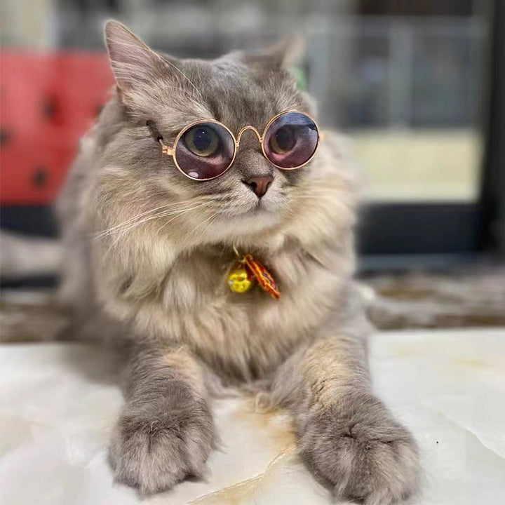 Dame moterunde briller Skanto