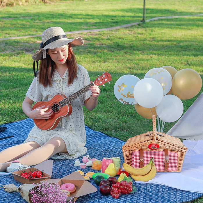 Dame Picnic Kurv Skanto