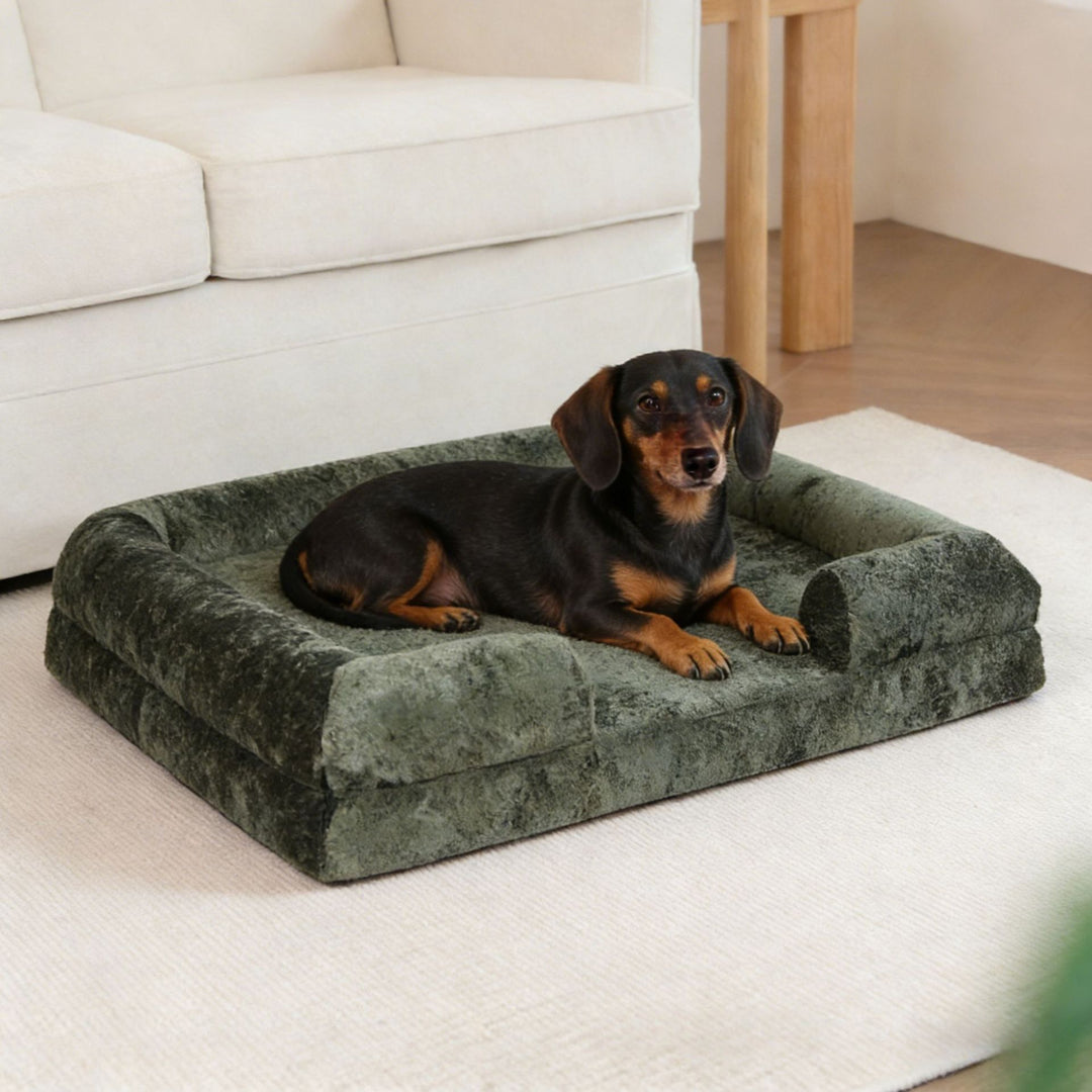 Koselig ortopedisk støtte hundesofa