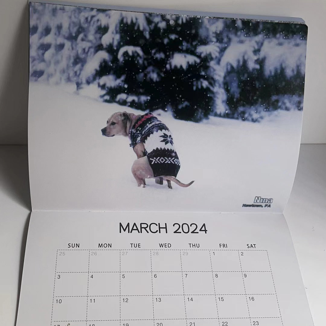Morsomste Kalender-Hunder Bæsjer på Vakre Steder | "Kunstnerisk Utrykk" av Pelsvenner | Skanto
