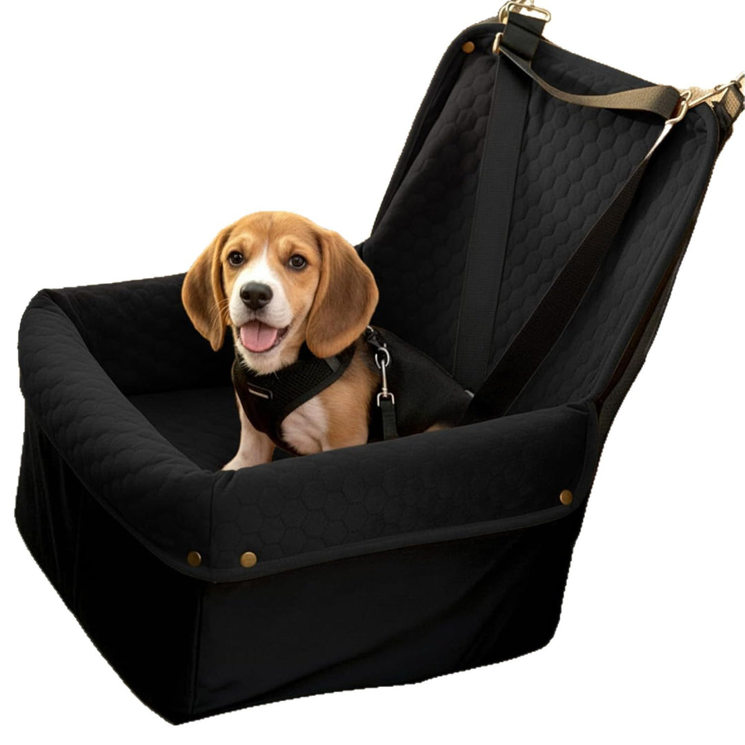 Hunde bilsete Skanto