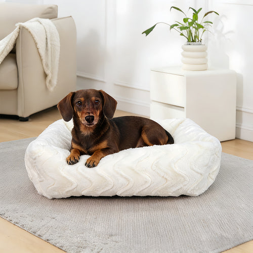 Myk minne skum hundeseng