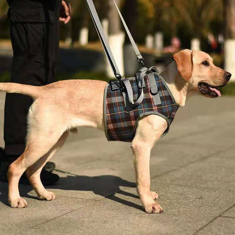 Skanto | Dog Lift Harness with Handle, Pet Recovery Sling