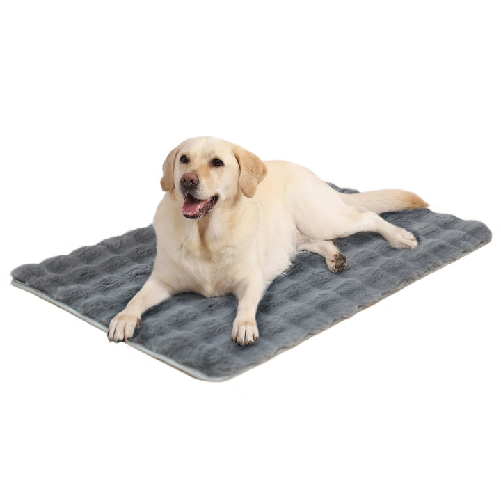 Plush Hundeseng