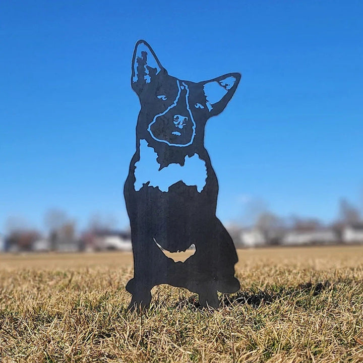 Cairn Terrier | Skanto