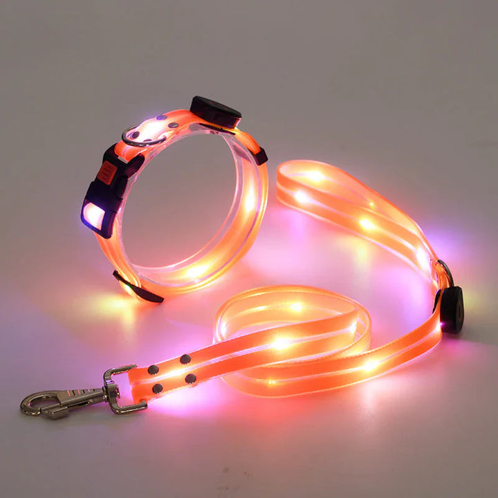 LED Hundehalsbånd med Bånd – NightBright Skanto